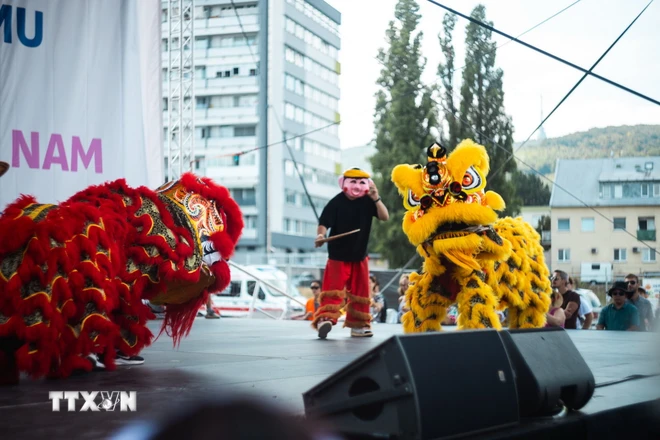 El tercer Día de Vietnam en Bratislava atrae a numerosos visitantes