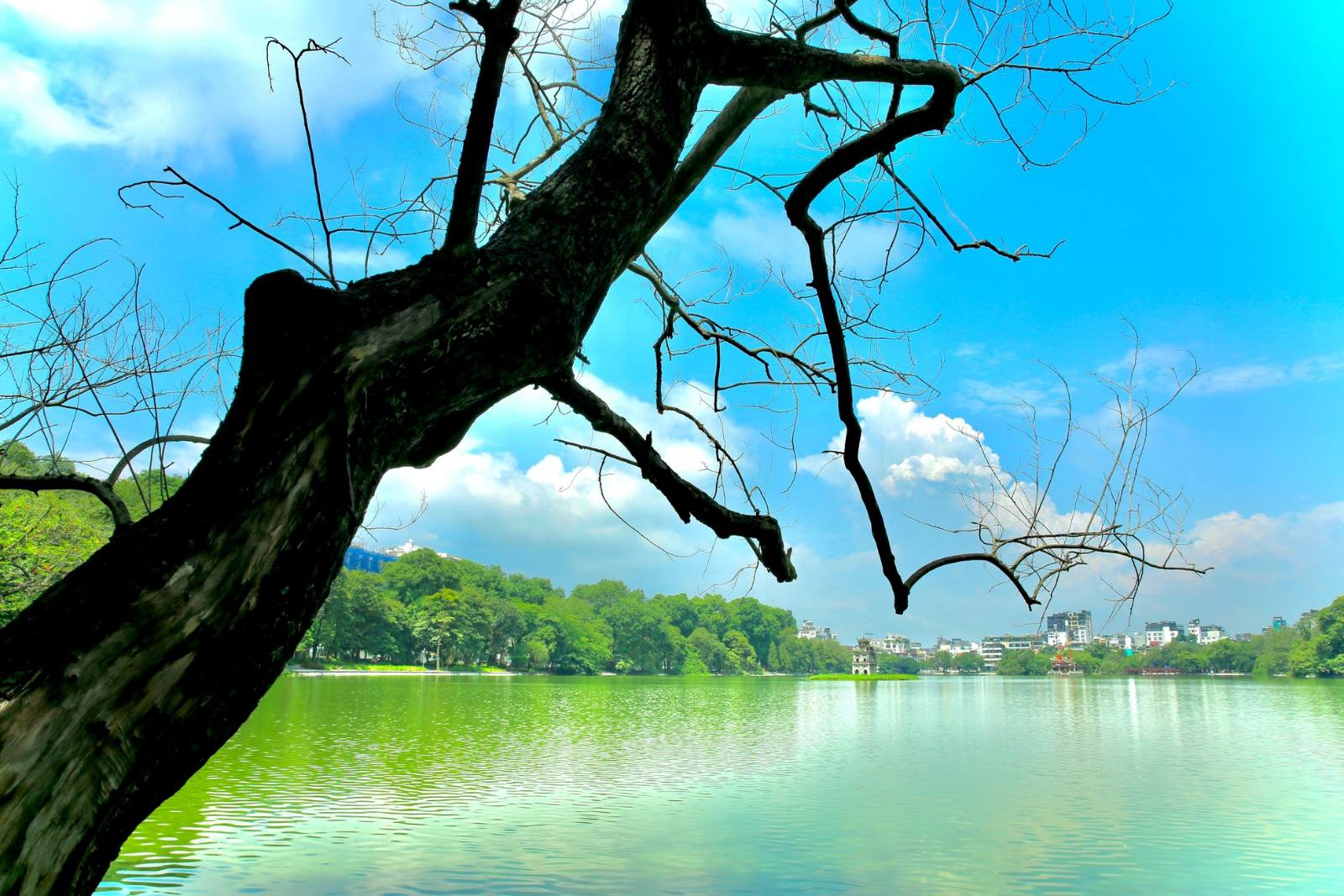 La belleza otoñal de Hanoi atrae a los turistas