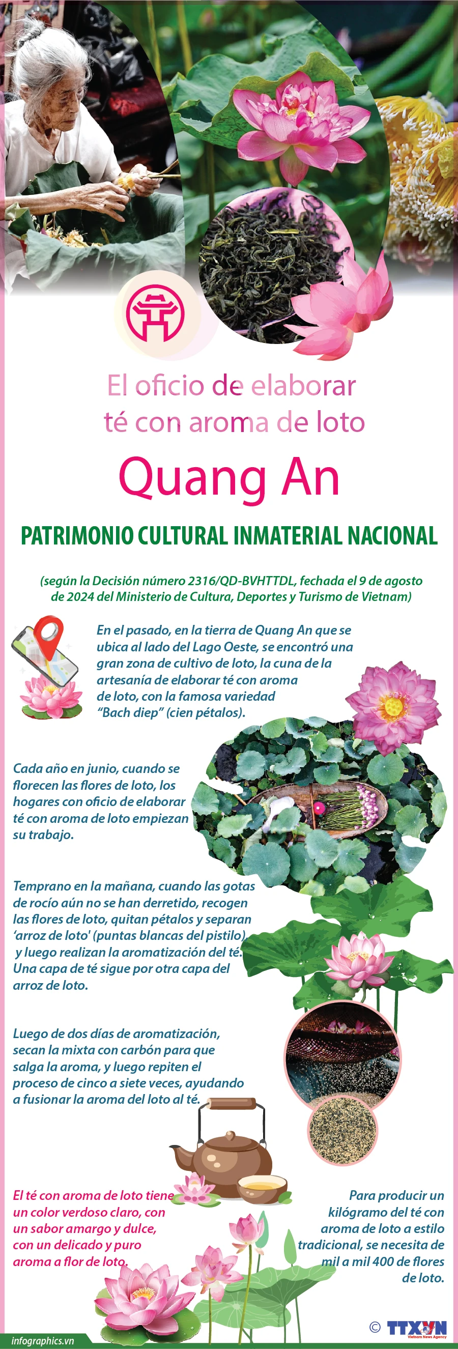 El oficio de elaborar té con aroma de loto Quang An