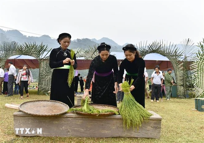 Festival de machaqueo de arroz glutinoso tierno en la cultura tradicional de los Tay