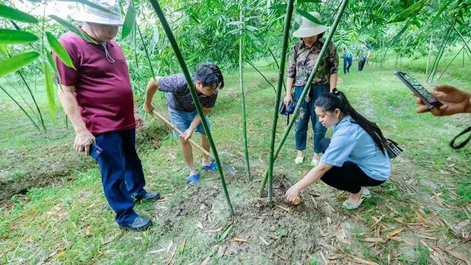 Promueven localidades vietnamitas producción agrícola asociada con ecoturismo
