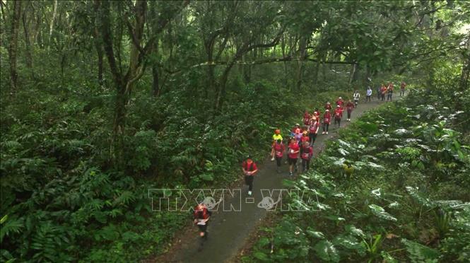 Cuc Phuong reconocido como el Parque Nacional Líder de Asia por sexto año consecutivo