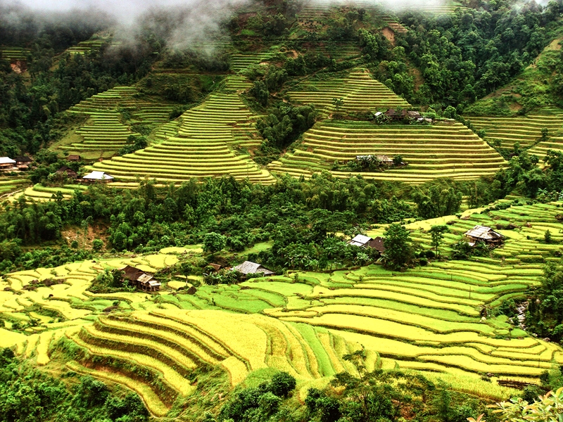 Ha Giang honrado como principal destino cultural regional de Asia en 2024
