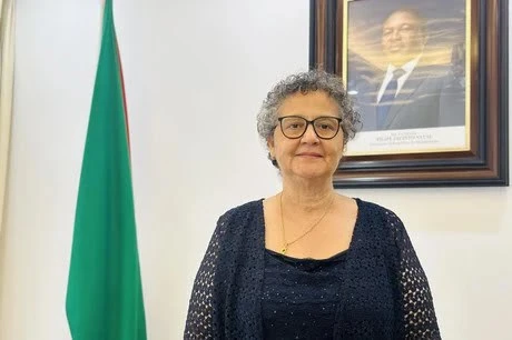 Visita del Presidente de Mozambique a Vietnam promoverá relaciones económicas