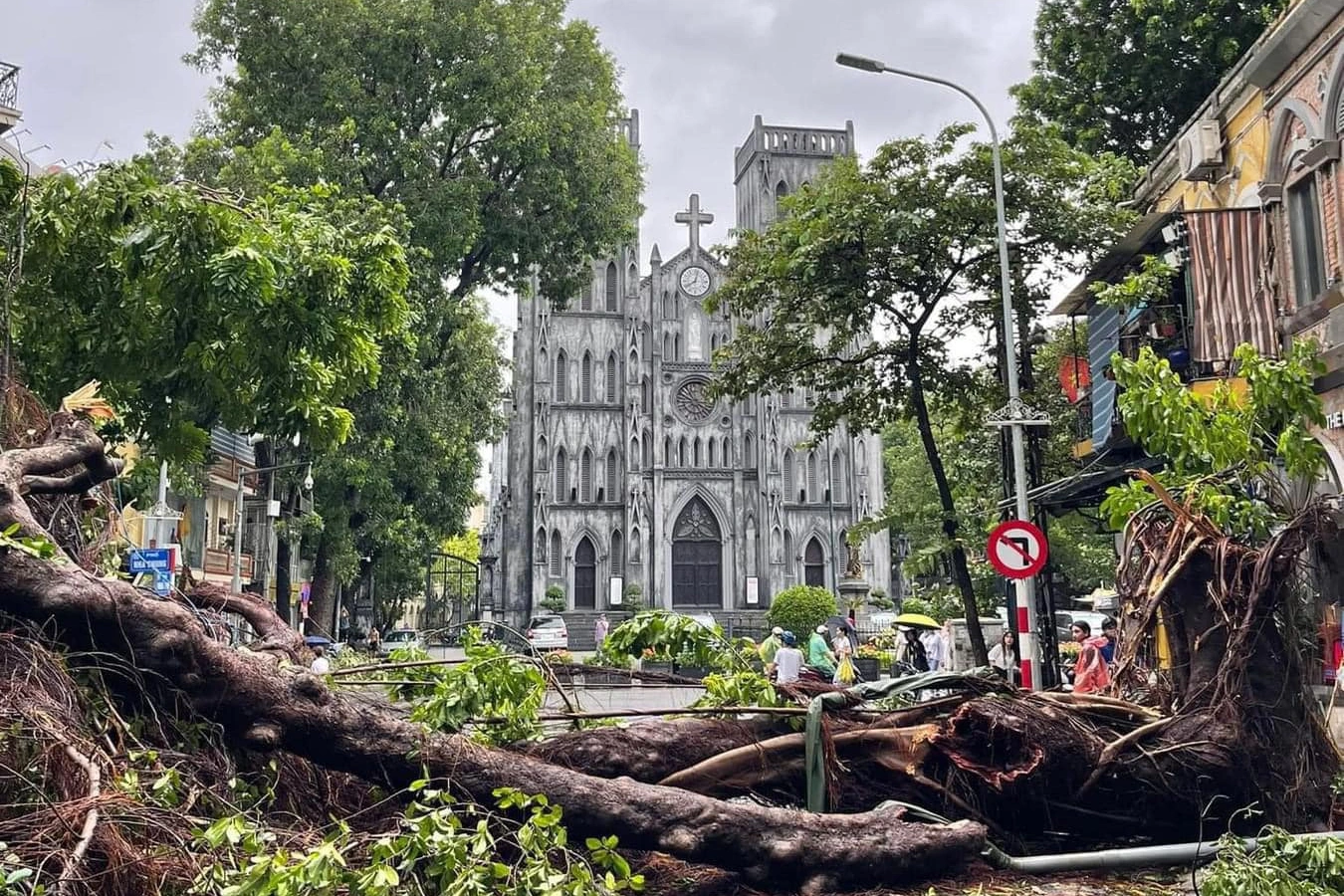 Hanói se centra en la limpieza de árboles rotos y caídos tras el tifón