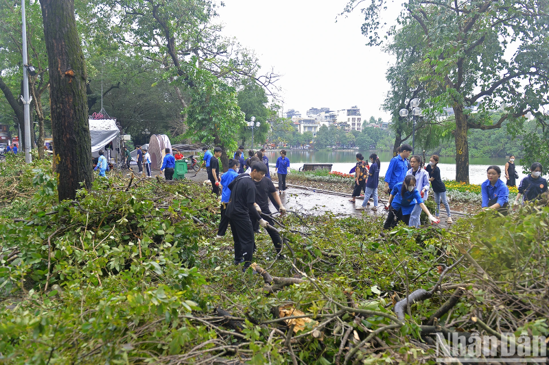 Jóvenes de Hanói únen manos para reducir las consecuencias provocadas por el tifón