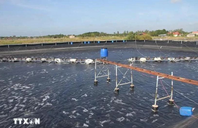 Vietnam promueve inventario de gases de efecto invernadero a partir de la trazabilidad