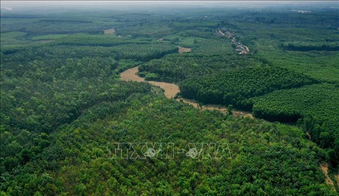 Vietnam contribuye de manera efectiva a la respuesta global ante el cambio climático