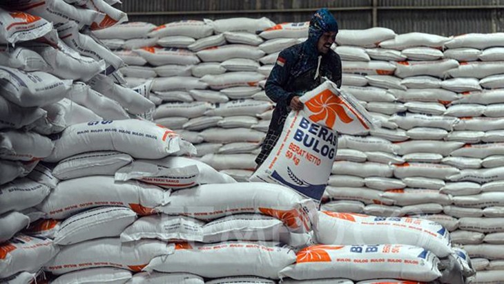 Vietnam es el segundo mayor proveedor de arroz de Indonesia