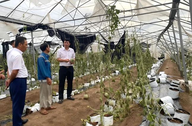 Bancos vietnamitas adoptan medidas de apoyo a clientes afectados por supertifón