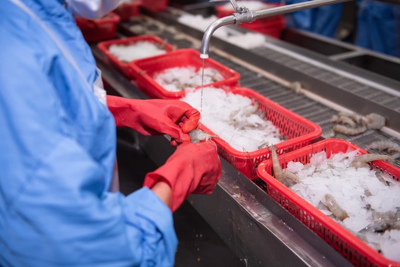 Vietnam busca mejorar la calidad para elevar las exportaciones de mariscos a China