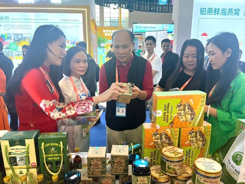 Quang Nam impulsa la promoción turística en las provincias de Guangxi y Gansu, China