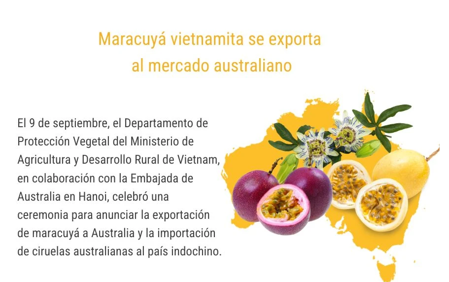 Maracuyá vietnamita se exporta al mercado australiano