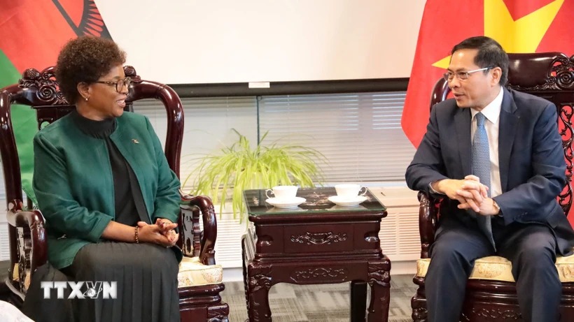 Las relaciones entre Vietnam y Malawi marcan un nuevo hito