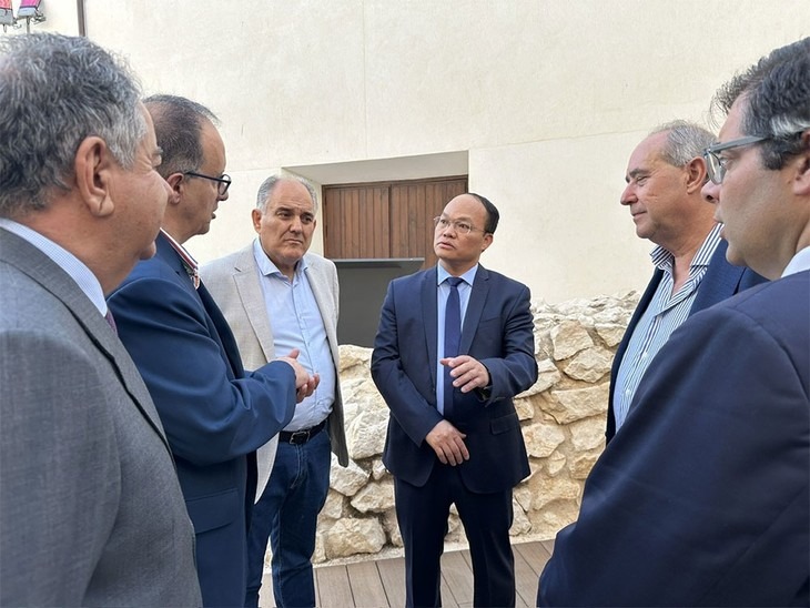 Vietnam busca fortalecer la cooperación con España