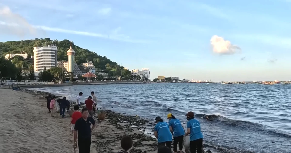 Club de voluntarios lidera los esfuerzos comunitarios para mantener limpias las playas de Vung Tau
