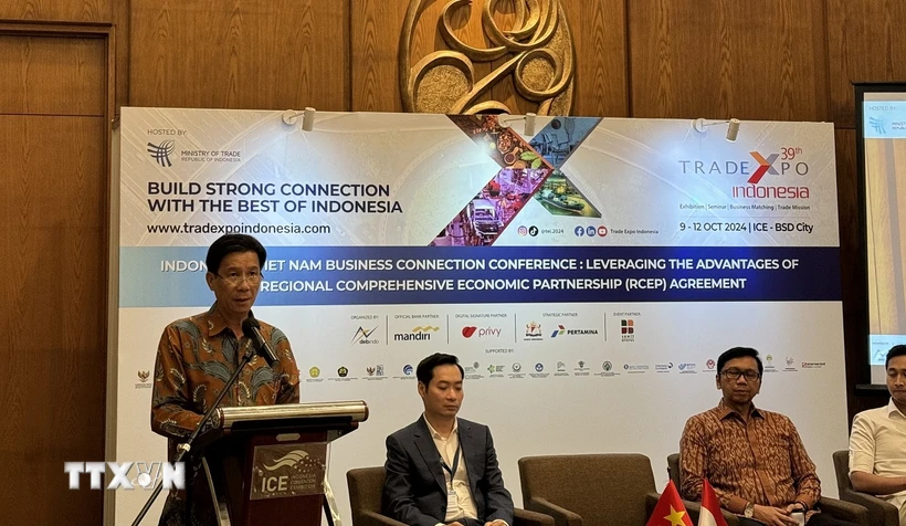 Reforzar la conexión entre empresas vietnamitas e indonesias