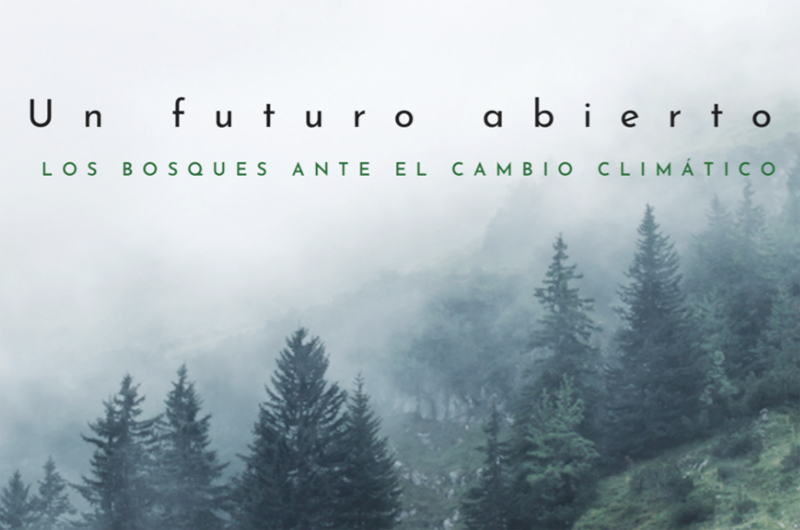 Exposición en Hanói sobre el papel de los bosques en el cambio climático