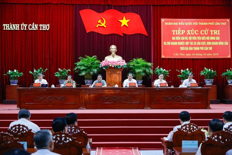 El Primer Ministro se reúne con los votantes de la ciudad de Can Tho