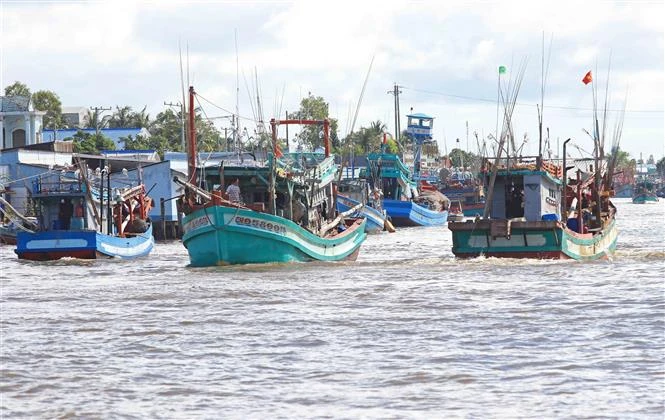 Vietnam determinado a aumentar gestión de buques pesqueros para combatir pesca ilegal