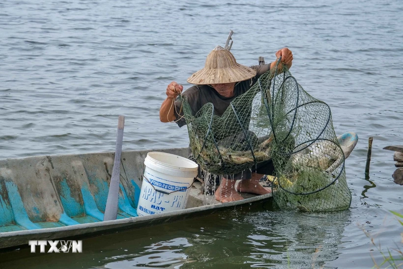 Bioseguridad aplicada a la producción de arroz y camarones en la provincia de Kien Giang
