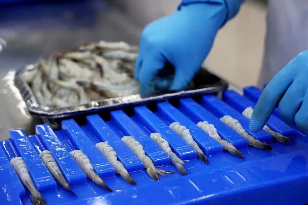 Las exportaciones de marisco de Vietnam hasta finales de 2024 oportunidades y desafíos