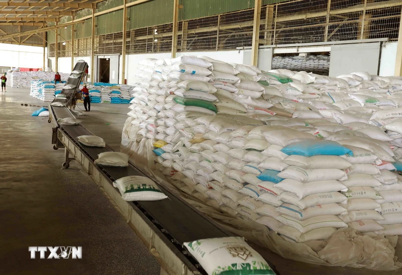 El precio de exportación del arroz vietnamita alcanza el nivel más alto de la región
