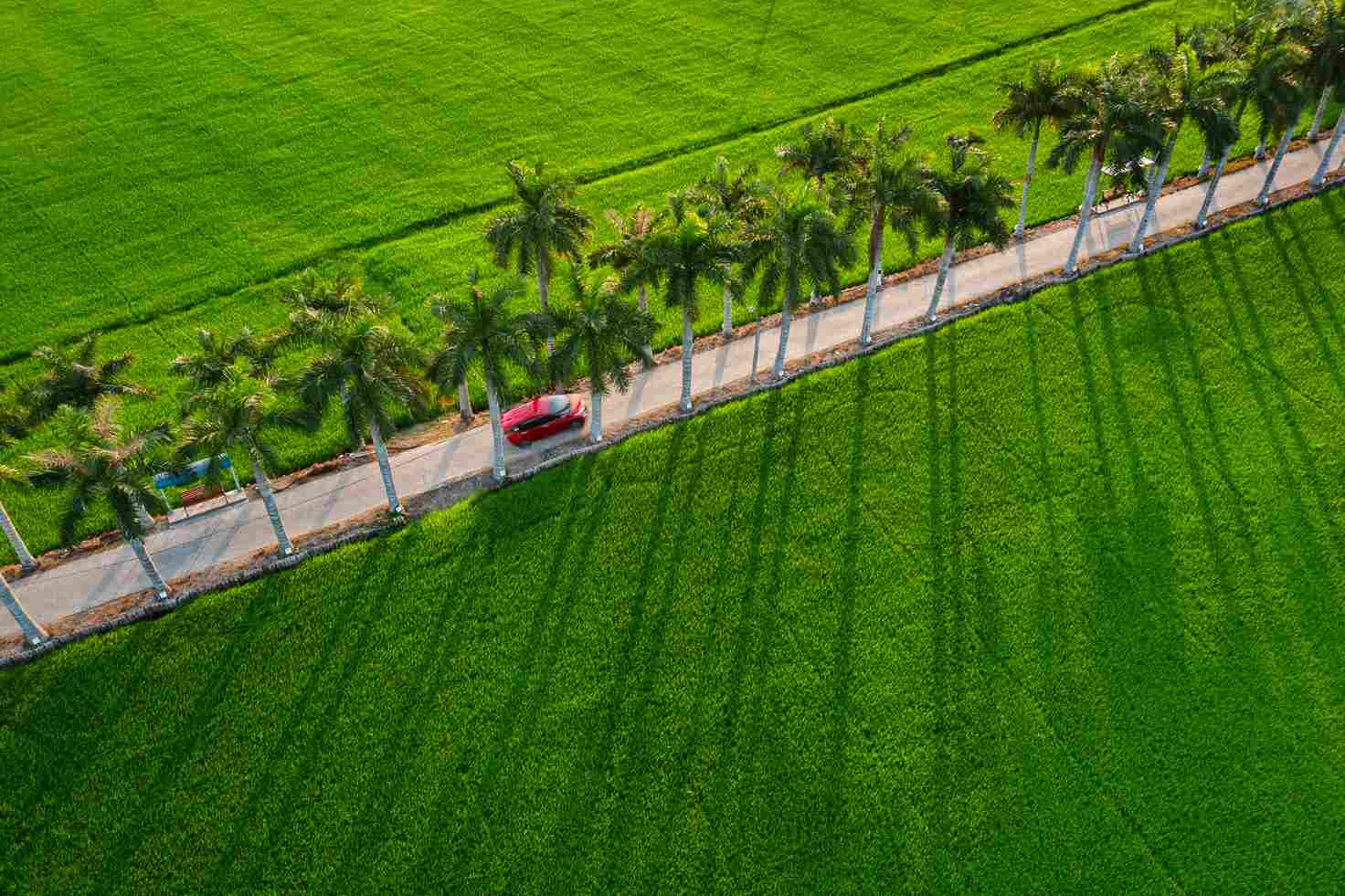 La provincia de Long An acogerá la Segunda Semana Cultural - Deportiva - Turística