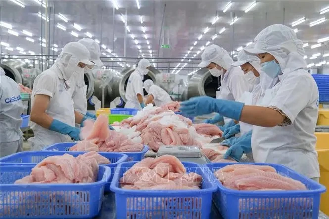 Buscan ecologizar la industria exportadora del pescado vietnamita Tra