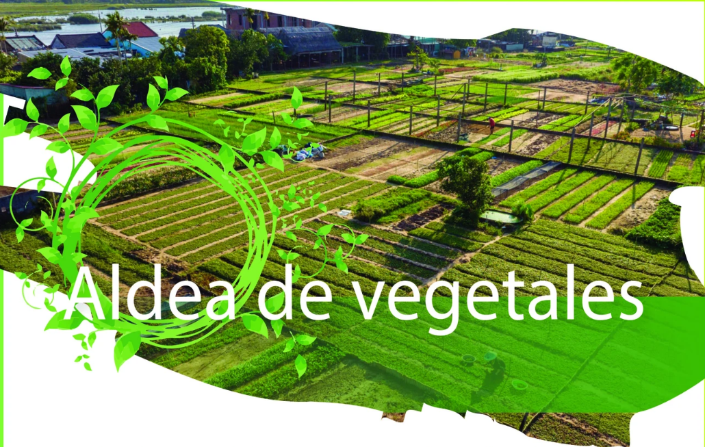 Tra Que de Vietnam entre los mejores pueblos turísticos del mundo en 2024