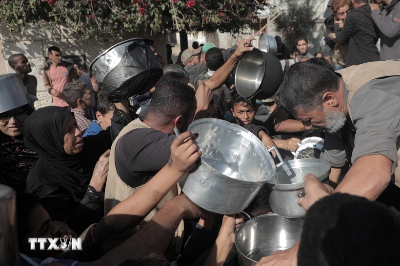 Vietnam apoya la justa causa de Palestina