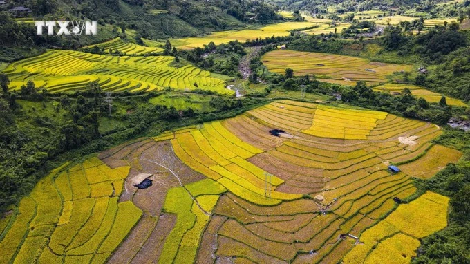 Muong Nhe Un paraíso natural y cultural en el norte de Vietnam